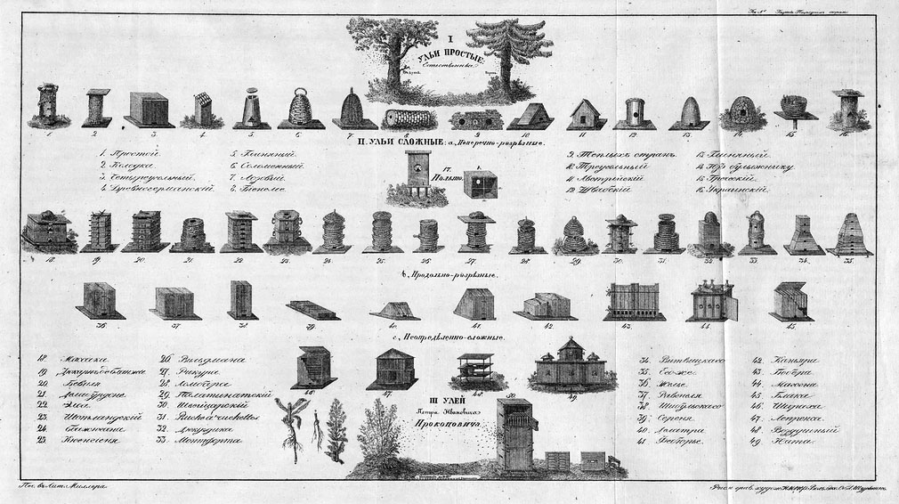 Виды ульев 0 страница из старого учебника по пчеловодству.