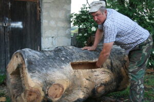 Современная пчелиная колода. Места хватит всем.