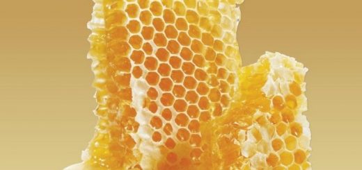 Как есть пчелиные соты и можно ли глотать воск