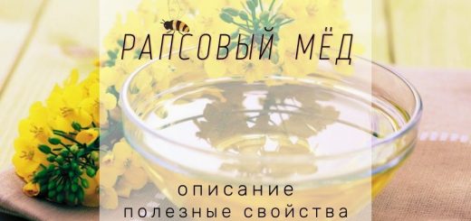 Полезные свойства рапсового меда